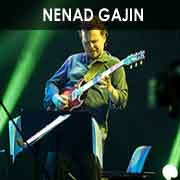 NENAD GAJIN